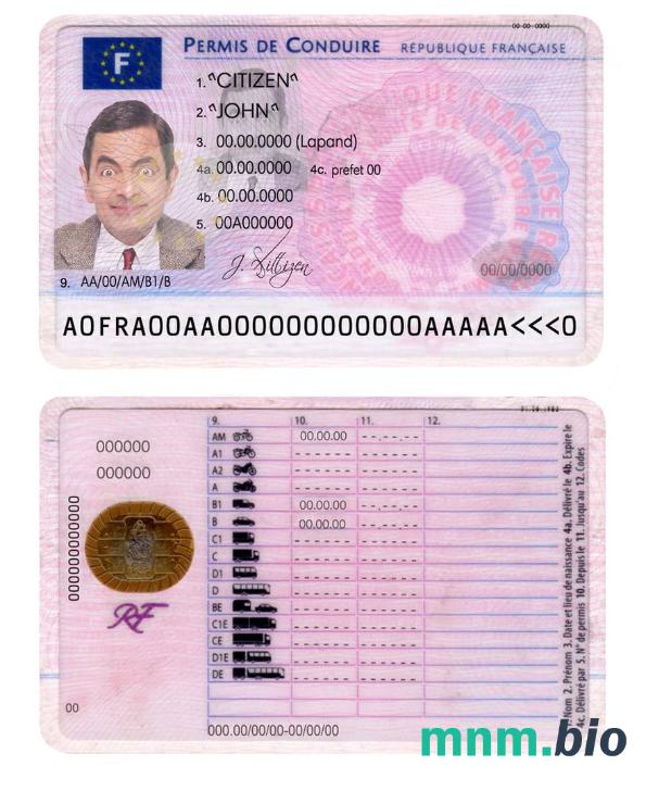 Francja prawo jazdy szablon w formacie PSD, ze wszystkimi czcionkami